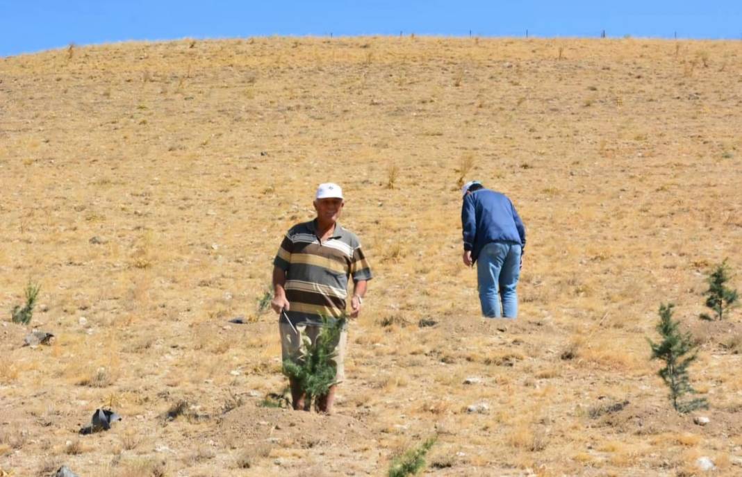 Makas kesme parasıyla ağaç aldı, Konya’da bozkırı ormana çevirdi 7